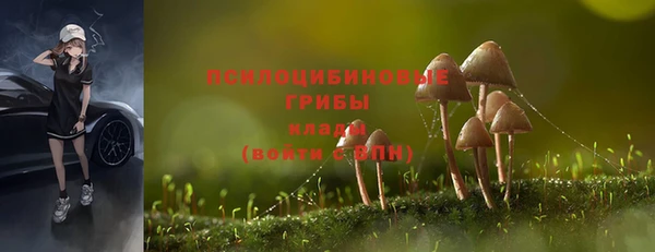 хмурый Абдулино
