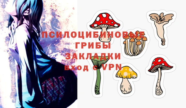 СК Абаза