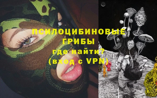 СК Абаза