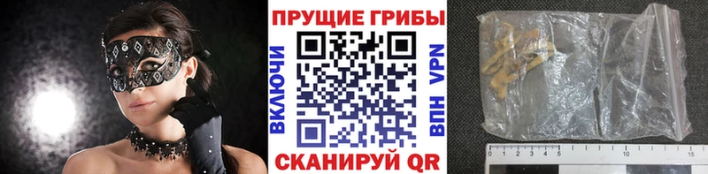 Галлюциногенные грибы Magic Shrooms  где продают   Электросталь 