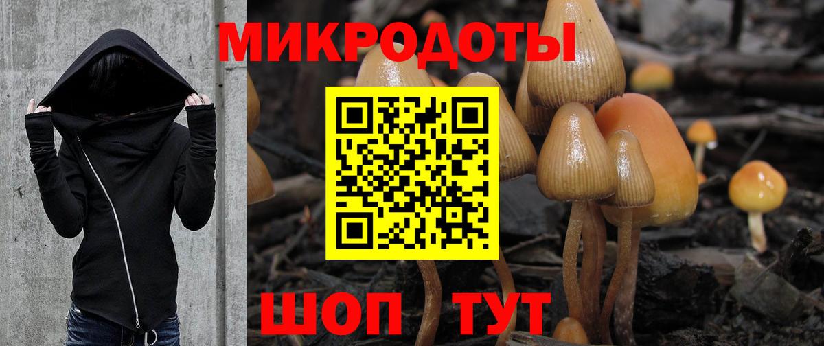 Электросталь  Галлюциногенные грибы Psilocybine cubensis  Вход с VPN  Галлюциногенные грибы мухоморы 